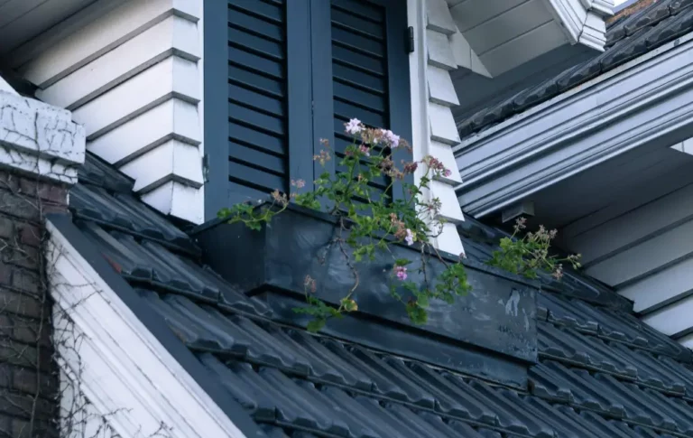 Gouttières, chéneaux et zinguerie : entre entretien et remplacement